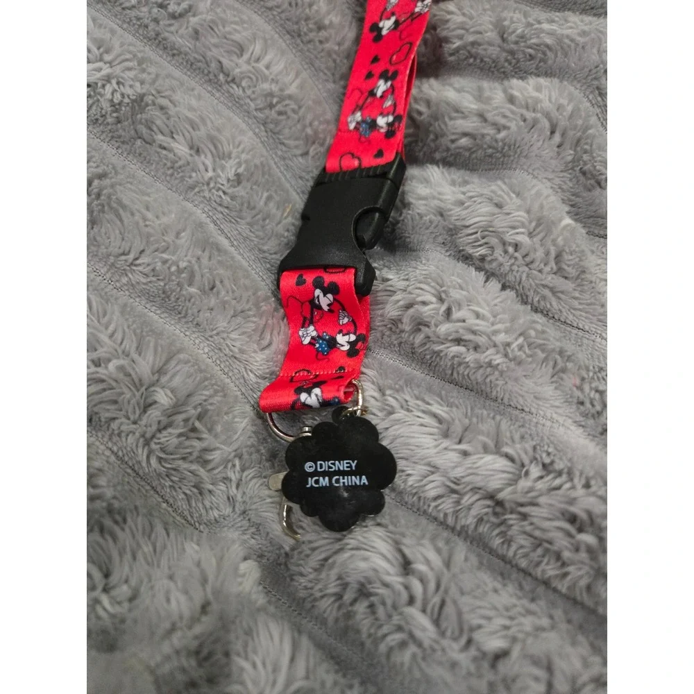 Disney mickey mouse